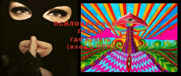 ПСИЛОЦИБИНОВЫЕ ГРИБЫ Зеленодольск