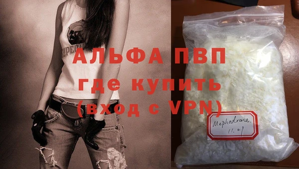 ПСИЛОЦИБИНОВЫЕ ГРИБЫ Иннополис