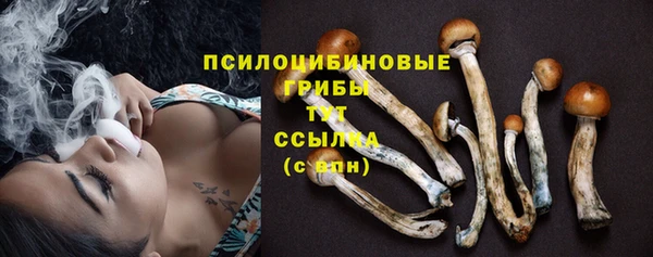 каннабис Инта