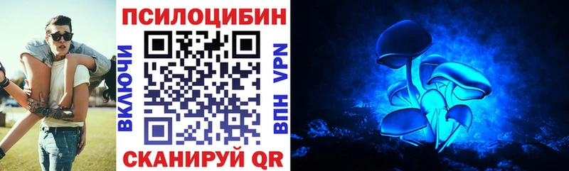 Купить  Бакал  Псилоцибиновые грибы Psilocybe 
