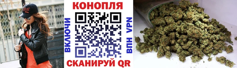 Купить где  Бакал  Конопля AK-47 